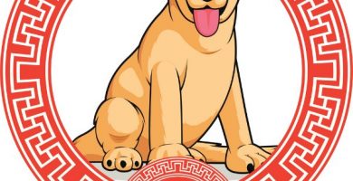 perro simbolo zodiaco